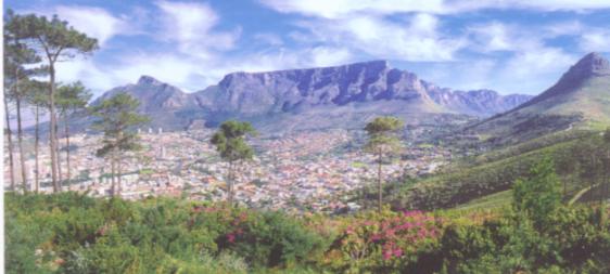 south_africa1.JPG (27824 bytes)